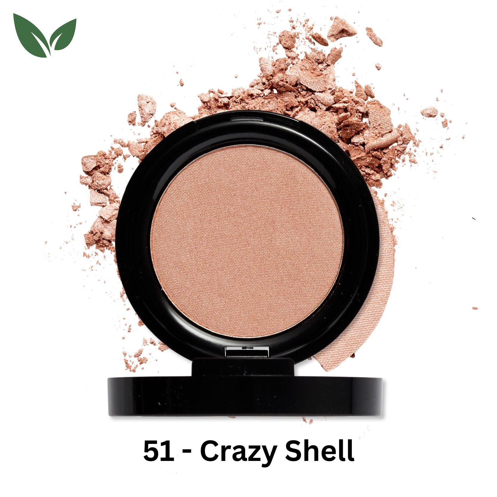 51-Crazy-Shell