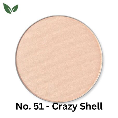 No-51-Crazy-Shell